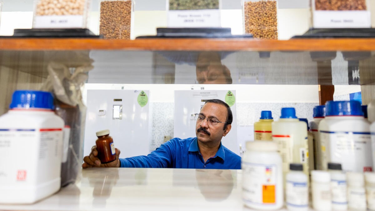 Researcher examining samples in a lab