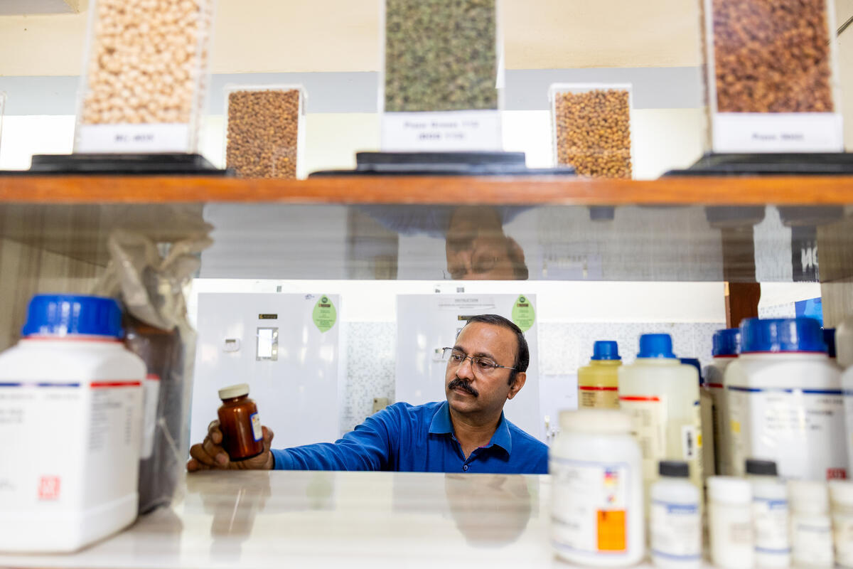 A researcher works with seed samples in a laboratory.