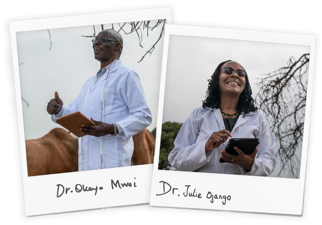 Okeyo Mwai and Julie Ojango at ILRI in Nairobi.