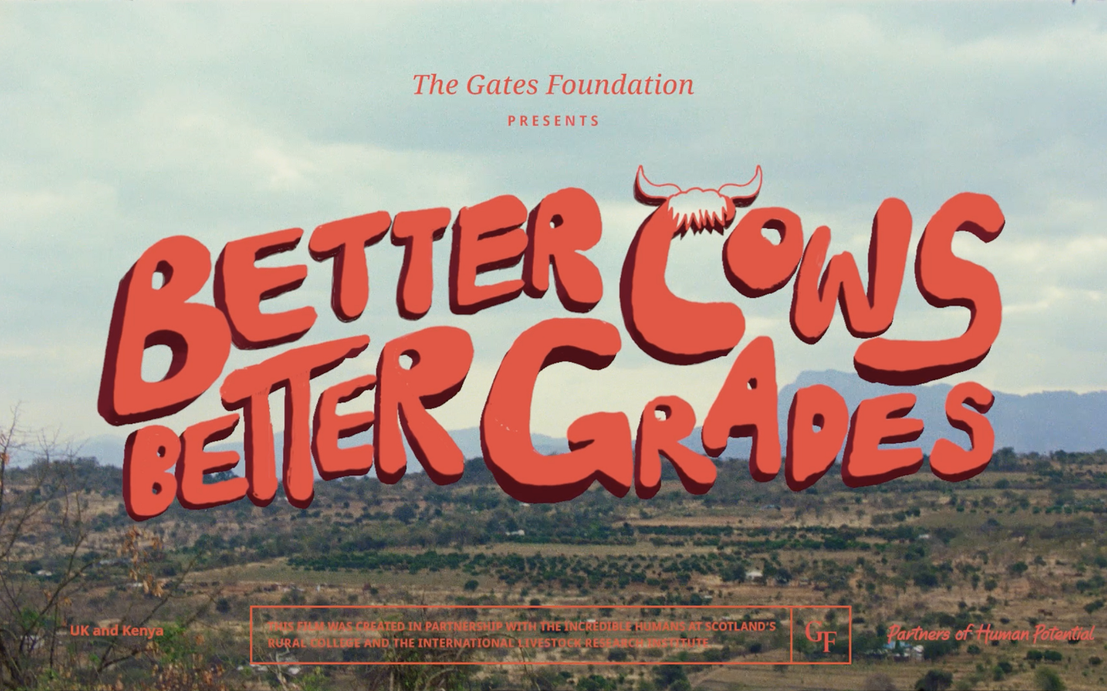 Better cows, better grades