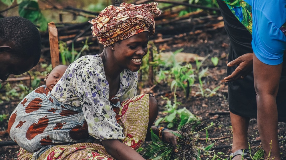 A farmer working in a green field