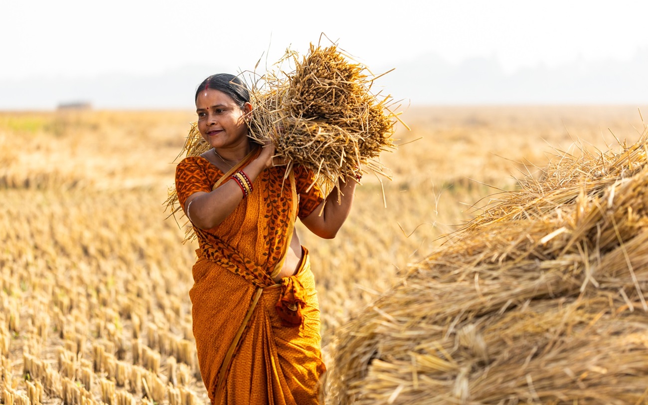 Farmer in Odisha, India
