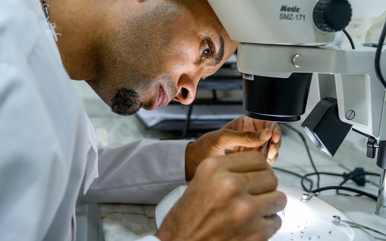 Malaria elimination in Cabo Verde